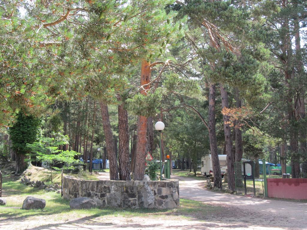 Camping Cobijo 比努埃萨 外观 照片